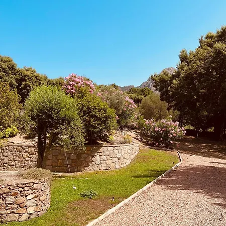 Paradis Corse A Louer Entre Terre Et Pour 2 Personnes Apartment Conca