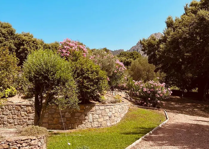 Paradis Corse A Louer Entre Terre Et Pour 2 Personnes Apartment Conca